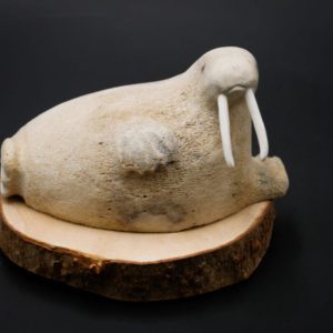 Whale Bone Walrus