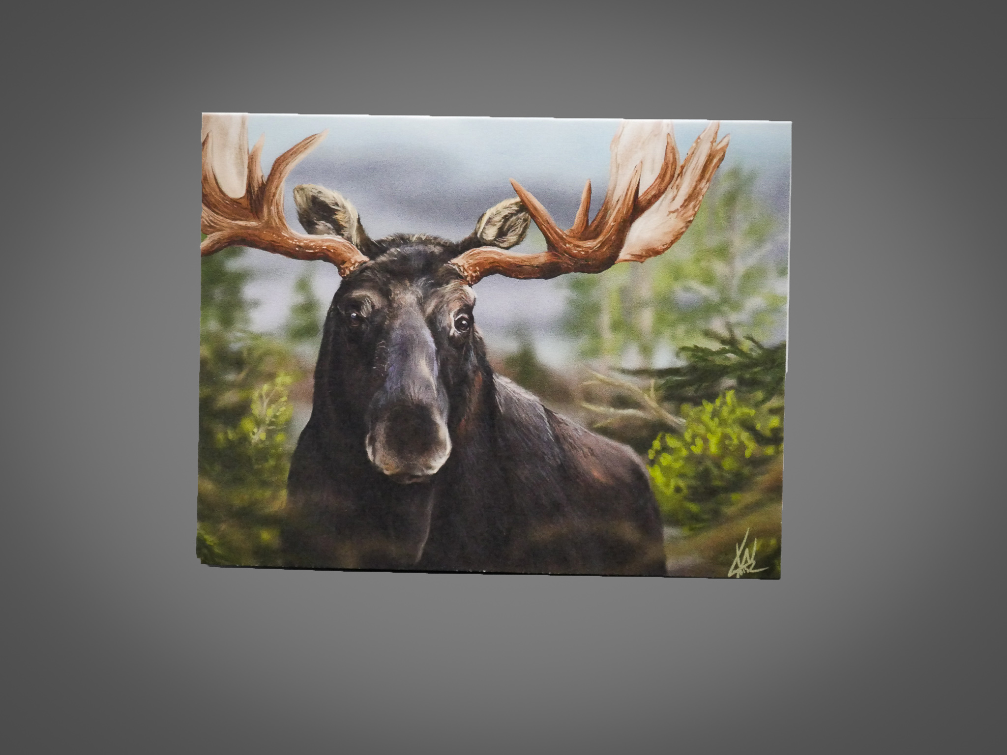 4x6 Card (Moose)
