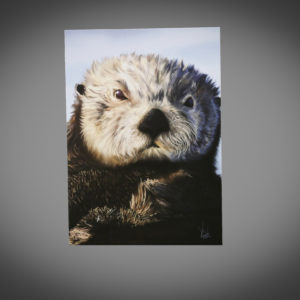 5x7 Sea Otter Card
